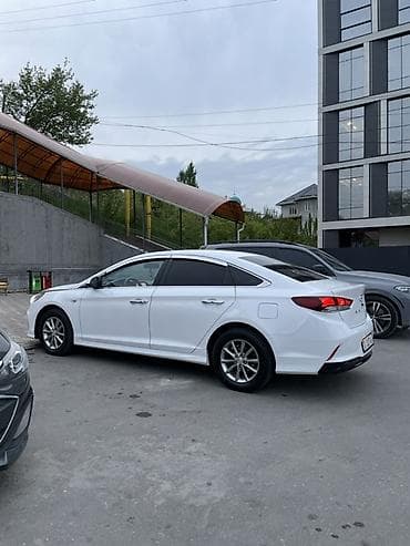 lexus rc 350: Hyundai Sonata: 2017 г., 2 л, Автомат, Газ, Седан — 4