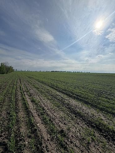 селхоз земли: 500 соток Для сельского хозяйства, Водопровод — 9
