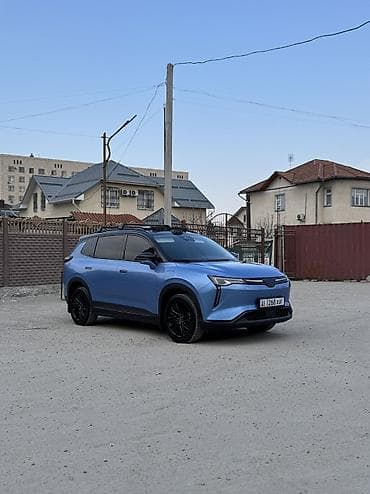 терено: Weltmeister W6, 2022 г., 54000 км — 1