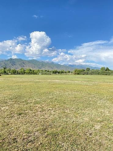 seven development: 168 соток, Для бизнеса, Красная книга, Договор купли-продажи — 2