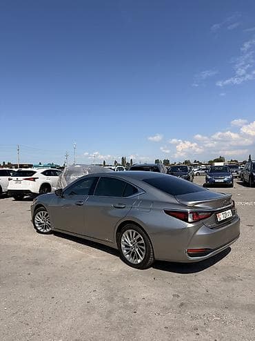 полировка панели: Lexus ES: 2019 г., 2.5 л, Гибрид, Седан — 3