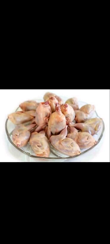 Перепел :, 1 кг, Самовывоз, Бесплатная доставка, Платная доставка