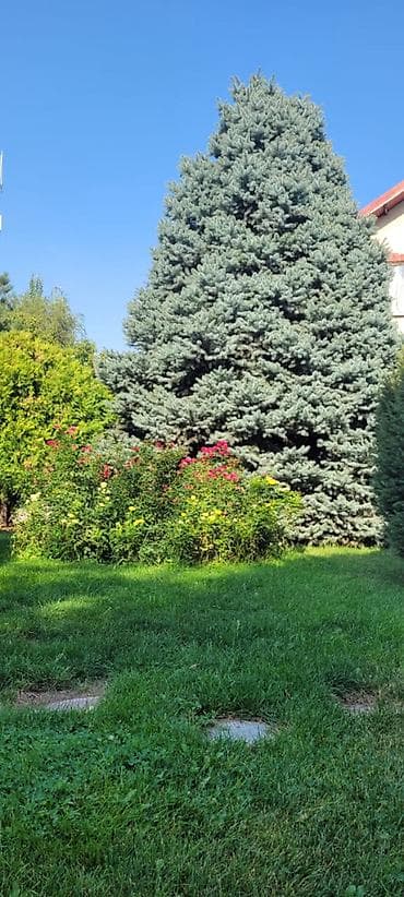 дом город кант: 288 м², 5 комнат, ТЭЦ, Семейным — 10