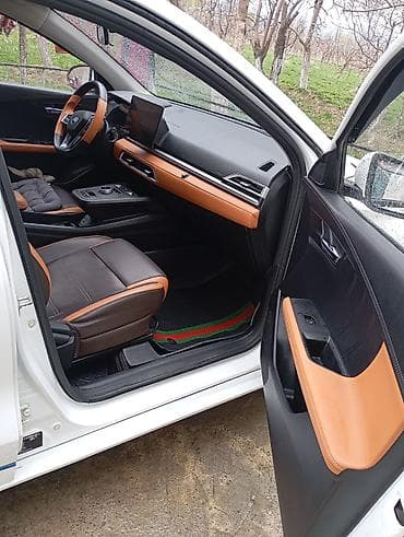 hyundai к5: BYD E2: 2021 г., Автомат, Электромобиль, Хэтчбэк — 6