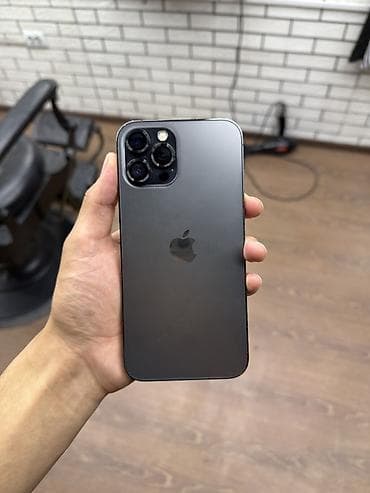 IPhone 12 Pro Max, Графит, Чехол