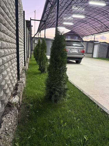 реальному: Продается уютный кирпичный дом «для себя» с мебелью — район Ахунбаева — 8
