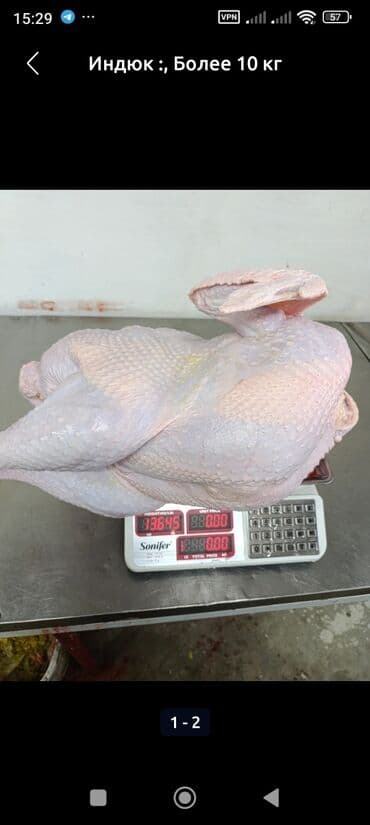 офисная бумага а4 оптом бишкек: Индюк :, Более 10 кг — 2