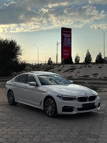 гольф руль: BMW 5 series: 2020 г., 2 л, Автомат, Дизель, Седан — 3