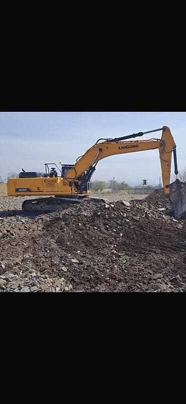 l9 pro: Экскаватор, LiuGong, 2025 г., Гусеничный — 1