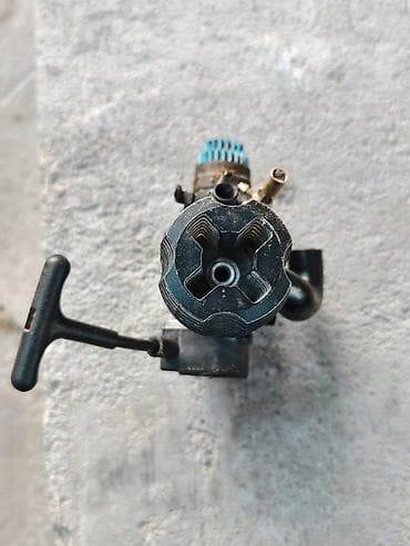 животные на р: 3 л, Оригинал — 5