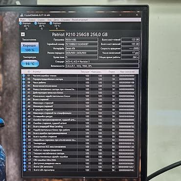 arctic leopard: Накопитель для ПК, Новый, Patriot, SSD, 256 ГБ, 2.5", Для ПК — 6