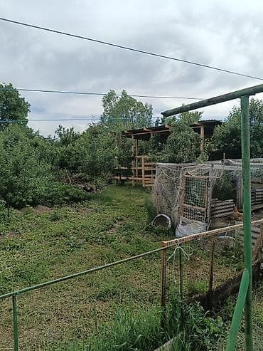 рассрочка от 17: Продаётся сельский дом с приусадебным участком 7,5 сот. Описание — 2