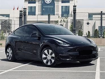 Tesla: Tesla Model Y: 2021 г. — 1