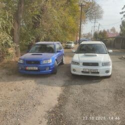 диск на форестер: Subaru Forester: 2003 г., Бензин, Универсал — 3