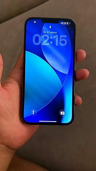 IPhone 13 Pro Max, Колдонулган, 256 ГБ, Alpine Green, Коргоочу айнек, 75 % — 2