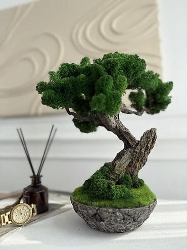 искусственный мох: Декоративное дерево бонсай, выполненное из стабилизированного мха — 3