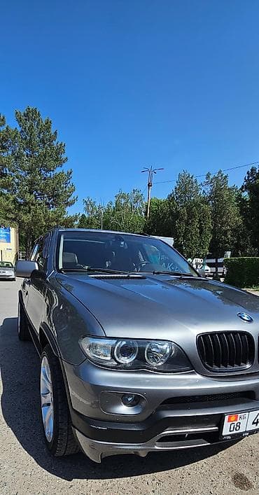 BMW: BMW X5: 2004 г., 4.4 л, Автомат, Бензин, Внедорожник — 2