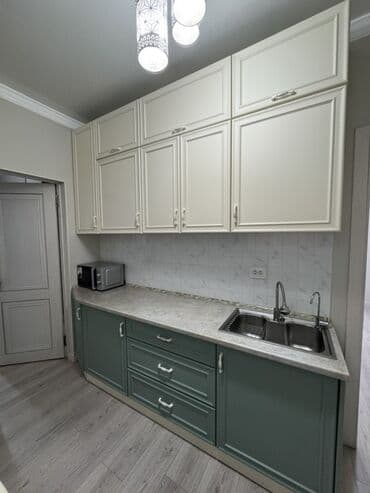 рахманалиева динара: 1 комната, 56 м², 106 серия улучшенная, 2 этаж, Евроремонт — 17