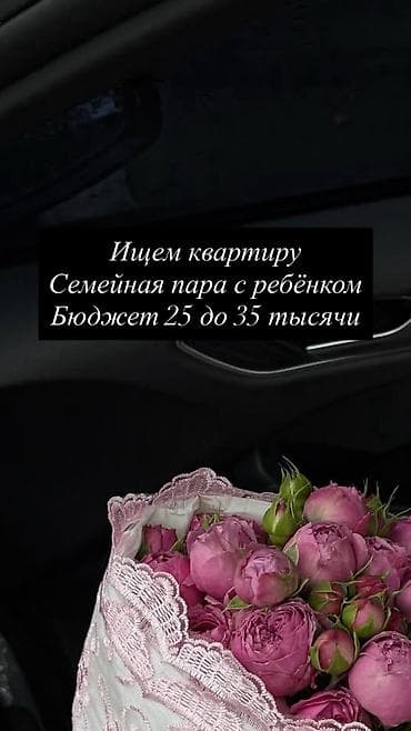 Ищем 1‑комнатную квартиру, либо студию с условием, всё еще ищем — 1