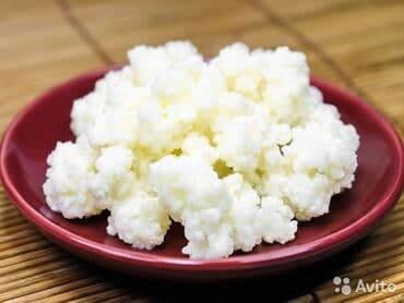 заменитель молочного жира: Продаю молочные грибки ( тибетский мол.гриб ) 1 ст.л - 100 сом 1 — 2