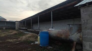 дом в аренду на длительный срок: САТЫЛАТ — ӨНӨР ЖАЙ УЧАСТОГУ / БАЗА — 1