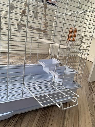 кошачий корм оптом бишкек: Клетка для попугаев с куполообразной крышей - Материал: металлическая — 4