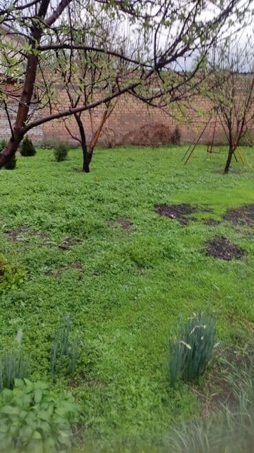 сдаю дом новопакровка: Дом, 90 м², 7 комнат, Собственник, Косметический ремонт — 14