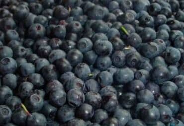 полки для магазина продуктов: Замороженные фрукты, ягоды, Клубника, Шоковая, Оптом — 11