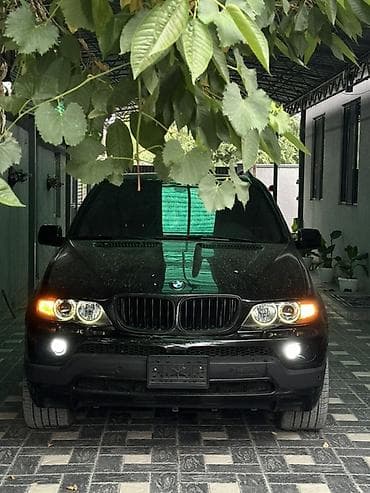 авто домик: BMW X5: 2005 г., 4.4 л, Автомат, Бензин — 1