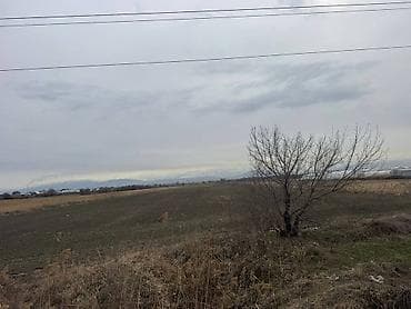 магистраль участок: 430 соток — 2