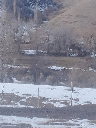 продаю дом бишкек кок жар: 150 соток, Айыл чарба үчүн, Кызыл китеп — 9