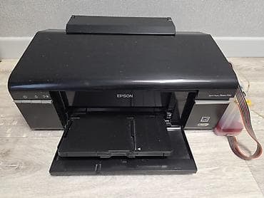Принтеры и МФУ: Принтер Epson P50 с снпч на запчасти или под восстановление. засохли — 1