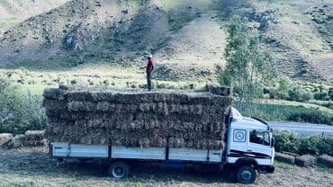 обмен на участок бишкек: Mercedes-Benz : 1993 г., 6 л, Механика, Дизель, Фургон — 4