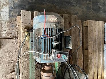 Услуги ветеринара: Продаю | Бык (самец) — 5