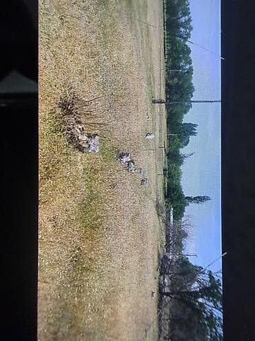 бостери комнаты: 15 соток, Айыл чарба үчүн, Кызыл китеп — 4