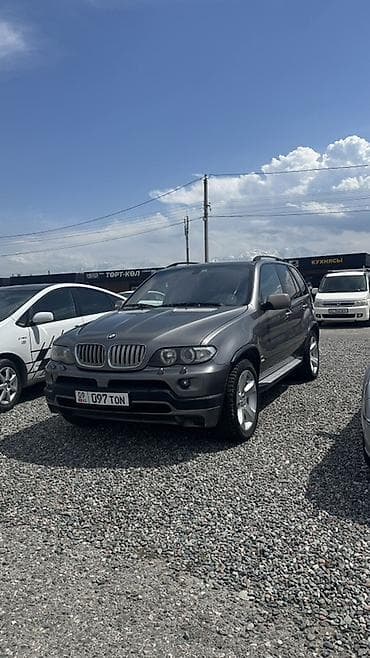 BMW X5: 2004 г., 4.4 л, Автомат, Газ, Кроссовер — 2