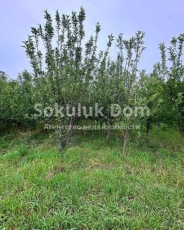 ала тоо дом продажа: 🏠Продается дом в с. Сокулук 🟡 Комнаты: 5 🟡 Участок: 15 соток 🟡 — 3