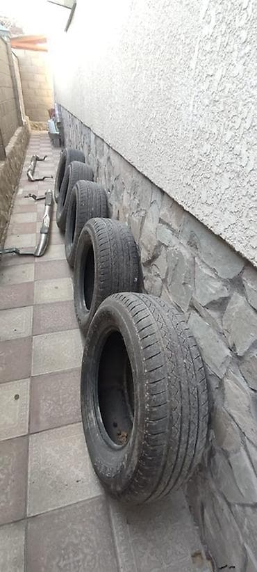 r15 100: Шины 225 / 70 / R 16, Лето, Комплект, Внедорожные (АТ/МТ), Maxtrek — 1