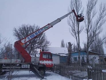 обзор цен на строительные и отделочные работы в бишкеке: Профессиональный спил деревьев любой сложности 110%гарантия сокулук — 3