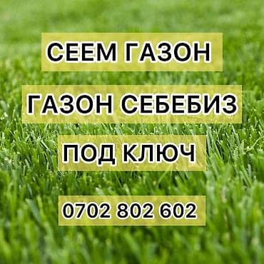 газонная трава цена: Офисы, Дома, Кафе, рестораны 1-2 года опыта — 1