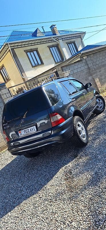 Продажа авто: Mercedes-Benz M-Class: 2002 г., 2.7 л, Автомат, Дизель, Внедорожник — 1