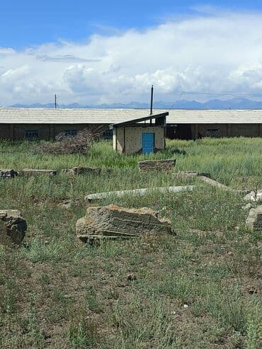 дом в районе кызыл аскер: Продаю Кошара, 600 соток, Действующий, С оборудованием, Электричество, Скважина — 19