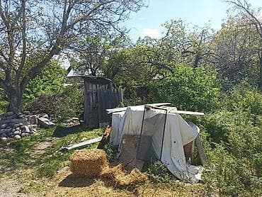 участок карагачевая роща: Продаётся жилой дом с участком в частном секторе. В районе карагачаева — 6