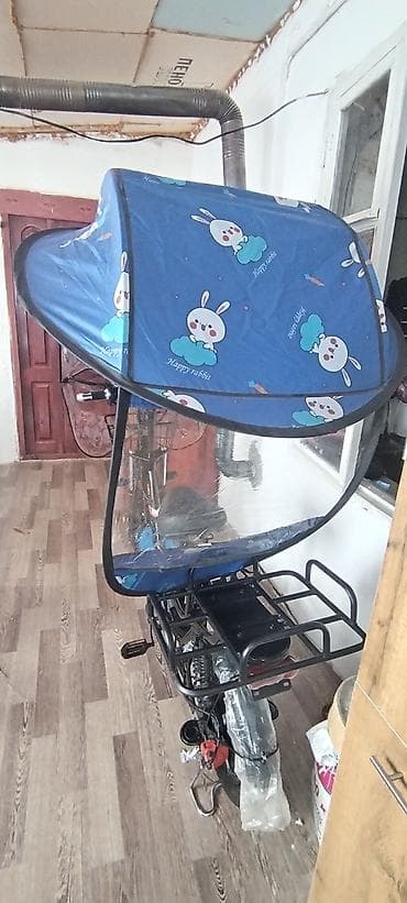 CD, DVD диски: Электровелосипед — 10