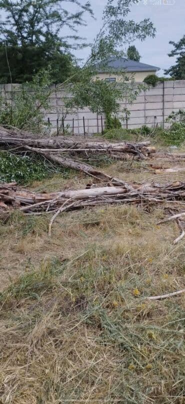 кант дрова: Дрова — 1