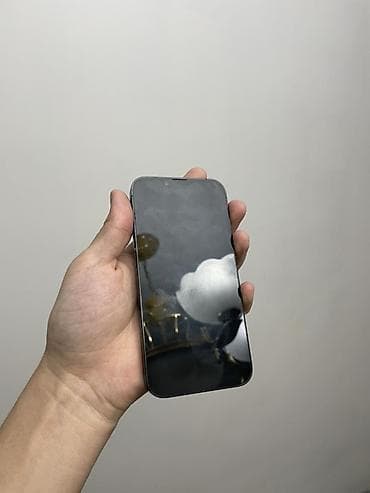 iphone 14 pro max: IPhone 13 Pro, Alpine Green, Кабель — 5