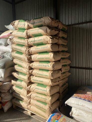 семена огурцов для теплицы в бишкеке: Беде урук оптом 7 Обласка салып жоробуз ишенимду таза кепилдик бар — 4