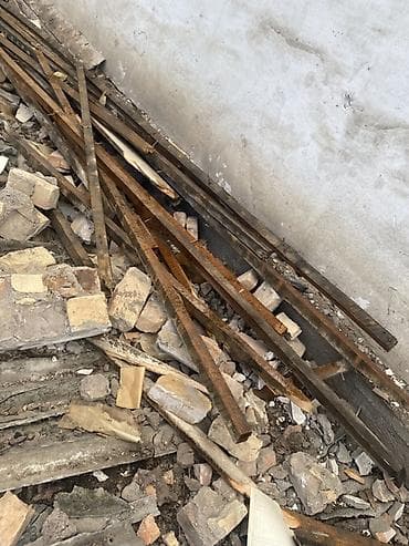 талас отун: Ийне жалбырак — 1