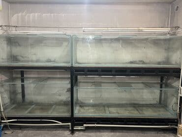 купить аквариумных рыбок в бишкеке: Продаю 8 аквариумов: 2 аквариума-(длина-150,ширина-50, высота-50) 375 — 2
