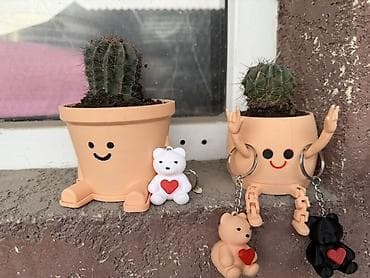 медвежата: Кактусы в горшочках с поддоном и подарок брелок - Мини-горшочки — 1